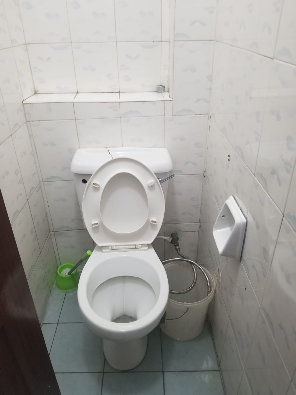 Toilet Cleaning (Bowl and Sink Destaining)